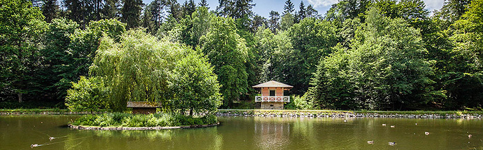 Picture: Pond in the palace park